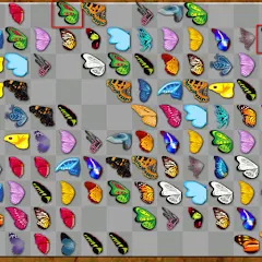 Butterfly Kyodai Logo